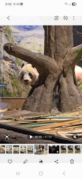 恩賜上野動物園に投稿された画像（2026/1/23）