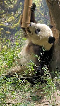 恩賜上野動物園に投稿された画像（2026/1/23）