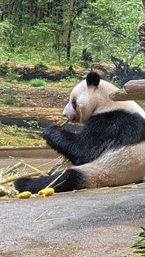 恩賜上野動物園に投稿された画像（2026/1/23）