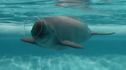 マリンワールド海の中道に投稿された画像（2026/1/23）