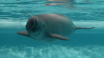 マリンワールド海の中道に投稿された画像（2026/1/23）