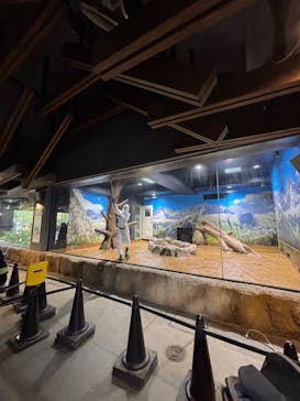 恩賜上野動物園に投稿された画像（2026/1/23）