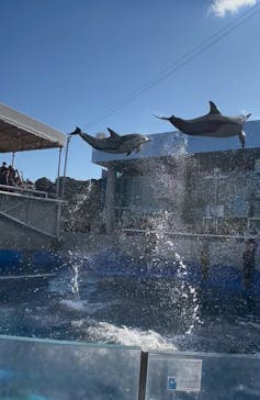 大分マリーンパレス水族館 「うみたまご」に投稿された画像（2026/1/23）