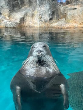 大分マリーンパレス水族館 「うみたまご」に投稿された画像（2026/1/23）