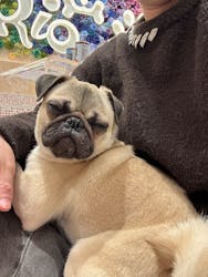 いぬカフェRio ゆめタウン久留米店に投稿された画像（2026/1/23）