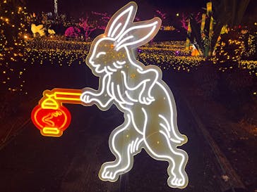 伊豆高原グランイルミに投稿された画像（2026/1/23）