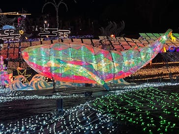 伊豆高原グランイルミに投稿された画像（2026/1/23）