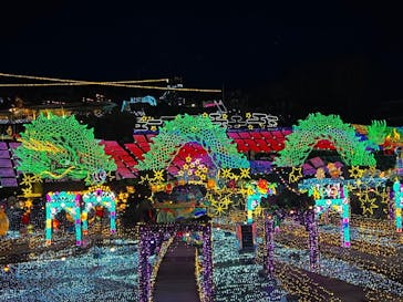 伊豆高原グランイルミに投稿された画像（2026/1/23）