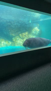 大分マリーンパレス水族館 「うみたまご」に投稿された画像（2026/1/23）
