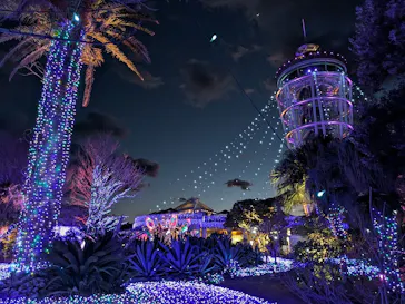 江の島シーキャンドルに投稿された画像（2026/1/23）