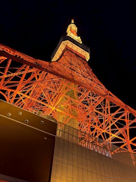 東京タワーに投稿された画像（2026/1/23）