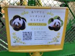 恩賜上野動物園に投稿された画像（2026/1/23）