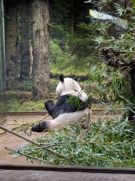 恩賜上野動物園に投稿された画像（2026/1/23）