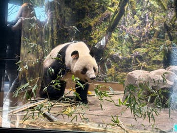 恩賜上野動物園に投稿された画像（2026/1/23）