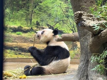 恩賜上野動物園に投稿された画像（2026/1/23）