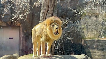 天王寺動物園に投稿された画像（2026/1/23）