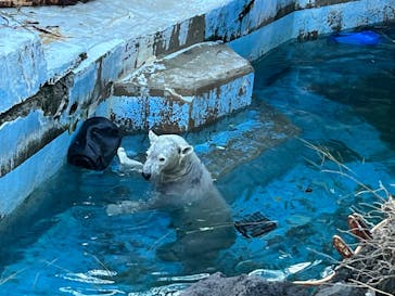 天王寺動物園に投稿された画像（2026/1/23）