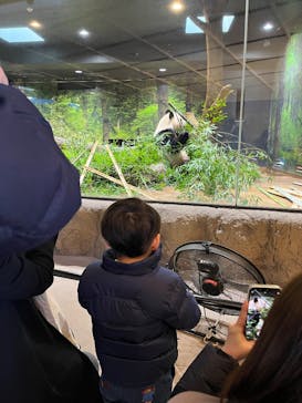 恩賜上野動物園に投稿された画像（2026/1/24）