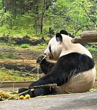 恩賜上野動物園に投稿された画像（2026/1/24）