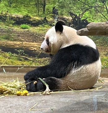 恩賜上野動物園に投稿された画像（2026/1/24）