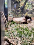 恩賜上野動物園に投稿された画像（2026/1/24）