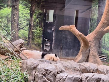 恩賜上野動物園に投稿された画像（2026/1/24）