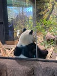 恩賜上野動物園に投稿された画像（2026/1/24）