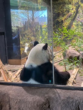 恩賜上野動物園に投稿された画像（2026/1/24）