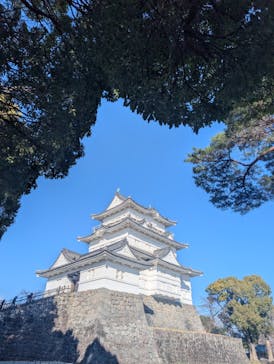 小田原城に投稿された画像（2026/1/24）