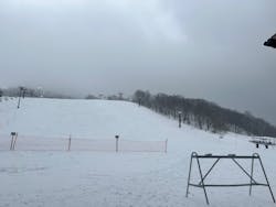 黒伏高原スノーパーク ジャングル・ジャングルに投稿された画像（2026/1/24）