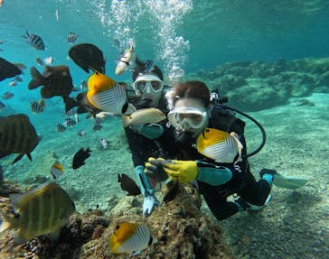 武藤潜水に投稿された画像（2026/1/24）