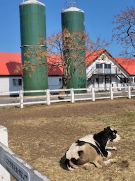 マザー牧場に投稿された画像（2026/1/24）