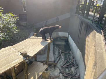 沖縄こどもの国に投稿された画像（2026/1/24）