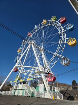 茨城ロボッツ（日立市池の川さくらアリーナ）に投稿された画像（2026/1/24）