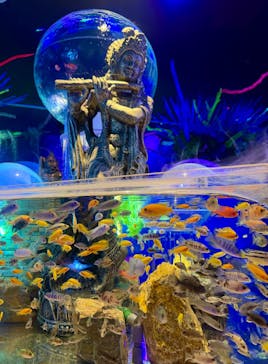 ひらかたパークに投稿された画像（2026/1/24）