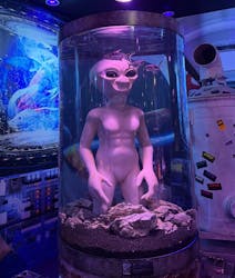 ひらかたパークに投稿された画像（2026/1/24）