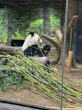 恩賜上野動物園に投稿された画像（2026/1/24）