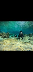 武藤潜水に投稿された画像（2026/1/24）