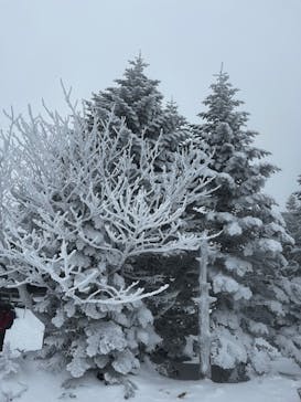 ピラタス蓼科スノーリゾートに投稿された画像（2026/1/24）