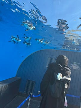 サンシャイン水族館に投稿された画像（2026/1/24）