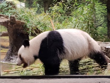 恩賜上野動物園に投稿された画像（2026/1/24）