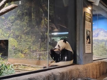 恩賜上野動物園に投稿された画像（2026/1/24）