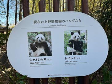 恩賜上野動物園に投稿された画像（2026/1/24）