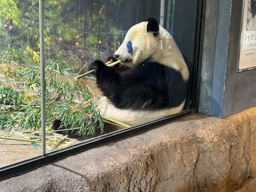恩賜上野動物園に投稿された画像（2026/1/24）