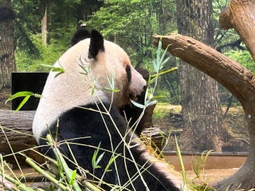 恩賜上野動物園に投稿された画像（2026/1/24）