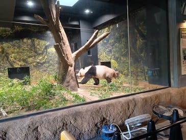 恩賜上野動物園に投稿された画像（2026/1/24）