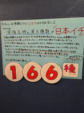 竹島水族館に投稿された画像（2026/1/24）