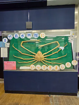 竹島水族館に投稿された画像（2026/1/24）