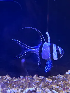 竹島水族館に投稿された画像（2026/1/24）