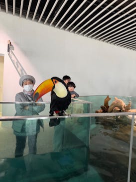 NIFREL（ニフレル）に投稿された画像（2026/1/24）